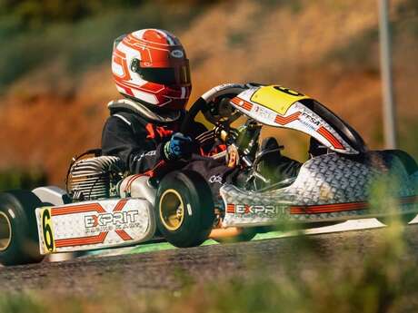 KARTING ELCEKA