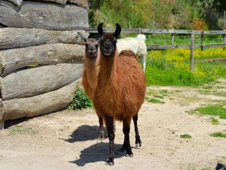 LA FERME DU DOLMEN - FERME PEDAGOGIQUE