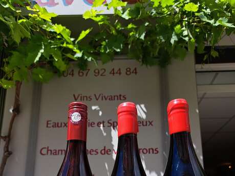 RENCONTRES VIGNERONNES CAVE DES ARCEAUX