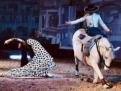 CABARETS EQUESTRES DE CAMARGUE