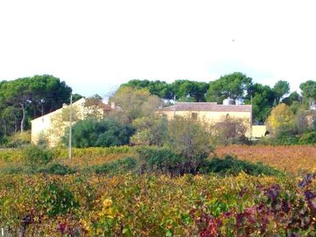 DOMAINE DE MAIRAN