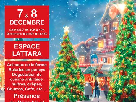 GRAND MARCHÉ DE NOËL D’ARTISANS ET DE CRÉATEURS DE LATTES