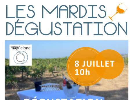 DÉGUSTATION AU CŒUR DES VIGNES