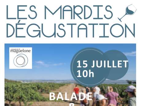 BALADE & DÉGUSTATION