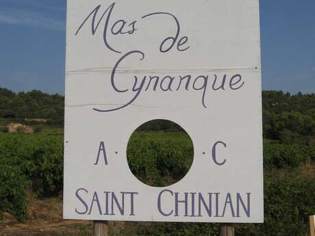 MAS DE CYNANQUE