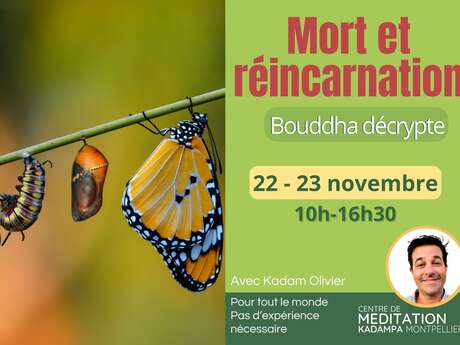 MORT ET RÉINCARNATION — BOUDDHA DÉCRYPTE MORT ET RÉINCARNATION — BOUDDHA DÉCRYPTE