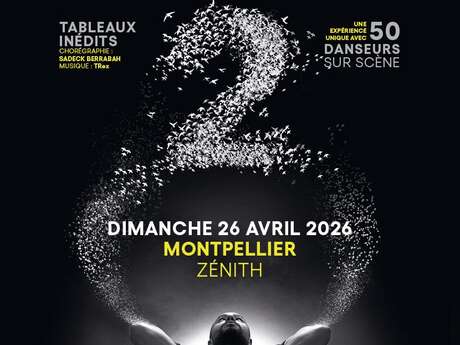 MURMURATION "LEVEL 2"