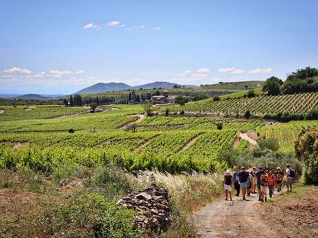 OENORANDO® NATURE ET CULTURE À FAUGÈRES