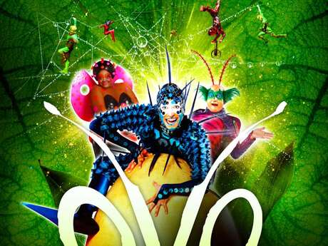 OVO – LE CIRQUE DU SOLEIL