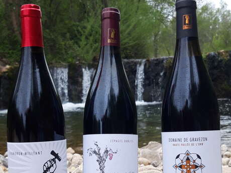DOMAINE DE GRAVEZON