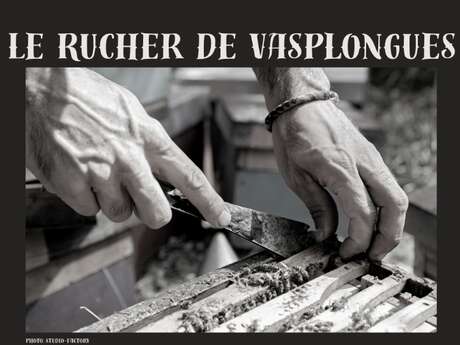 LE RUCHER DE VASPONGLES