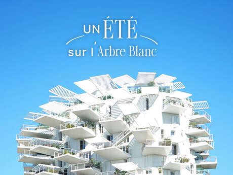 UN ÉTÉ SUR L’ARBRE BLANC