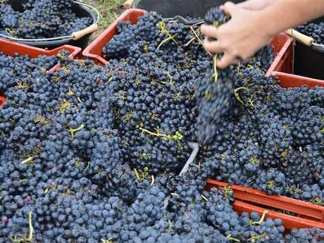 DOMAINE MONTS ET MERVEILLES