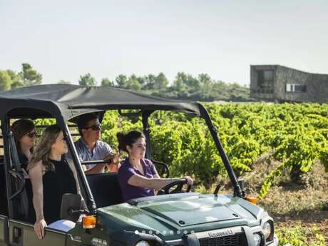 SAFARI DANS LES VIGNES
