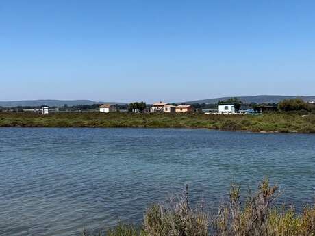 Le Site Naturel Protégé des Salines de Villeneuve