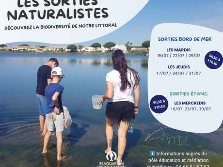 SORTIES PLAGE ET SORTIE ÉTANG