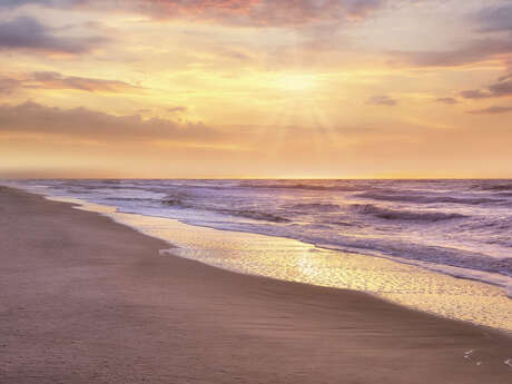DJ PALAVAS SUNSET