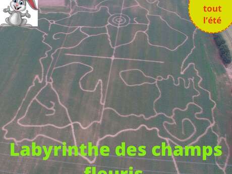 Labyrinthe de maïs des champs fleuris Labyrinthe de maïs des champs fleuris