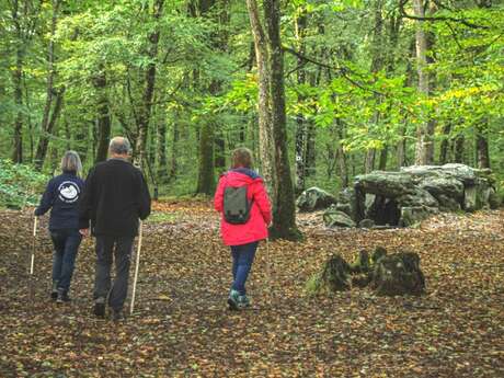 Sentier de découverte : La Maison des Feins