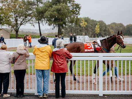 Courses de trot et d'obstacle hippodrome maure