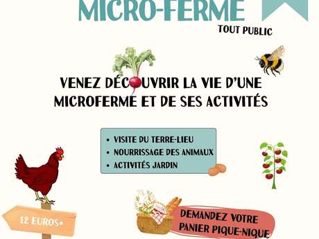 Découverte d'une micro-ferme