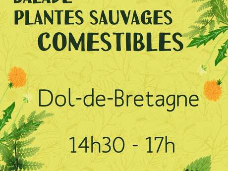 Balades plantes sauvages comestibles