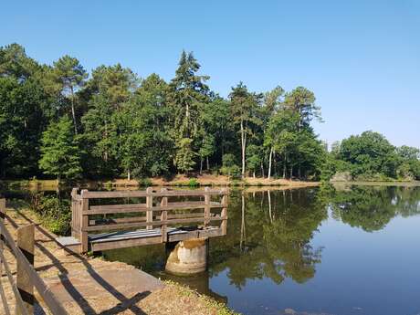 Circuit Etang et bois de Baron