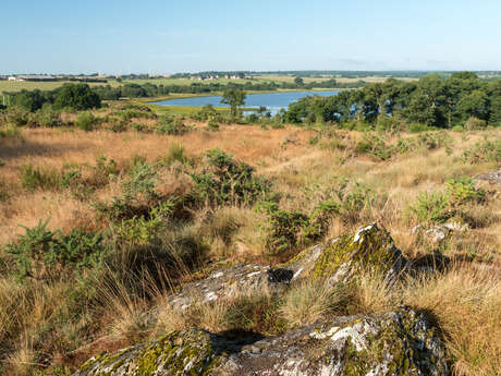 Balade à Roulettes® - Le domaine de Careil (n°12)