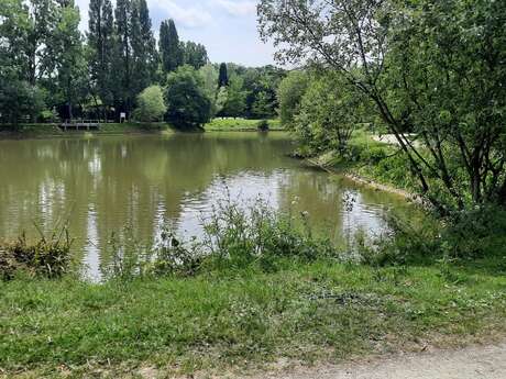 Balade à Roulettes® n°10 - Le tour de l'étang de Bréal