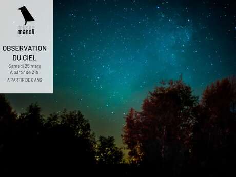 Reporté - Observation des étoiles – Musée Manoli