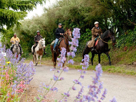 Centre équestre et poney club de Hac - EARL