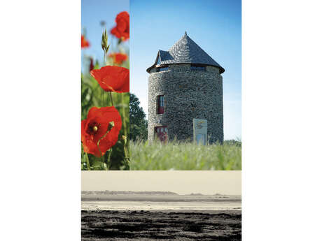 Moulin de la Ville-es-Brune