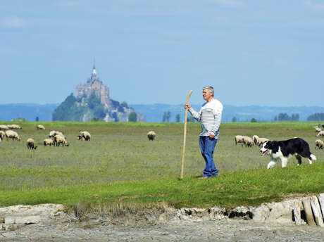 Visite à la ferme des prés salés
