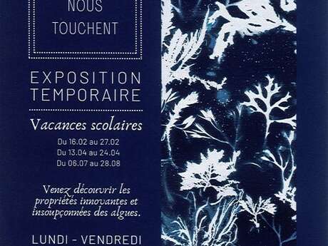 Quand les algues nous touchent