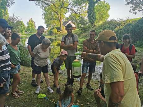 Sortie nature - Le monde des amphibiens