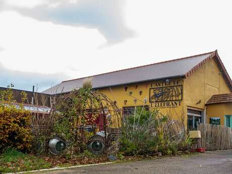 L'Antre de l'éléphant