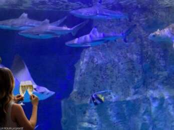 Le Grand Aquarium de Saint-Malo fête ses 30 ans !