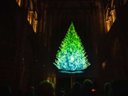 L’arbre de Lumière