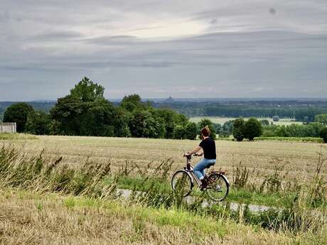 Les vélos de Babel