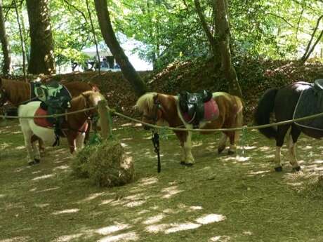 Balade à poney