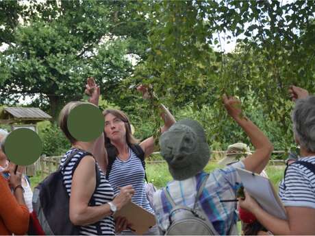 Ateliers Balade botanique et Ateliers sérigraphie