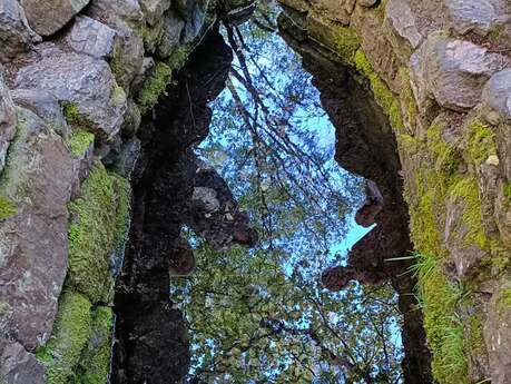 Aux portes de l'Autre Monde, balade contée à la Fontaine de Barenton