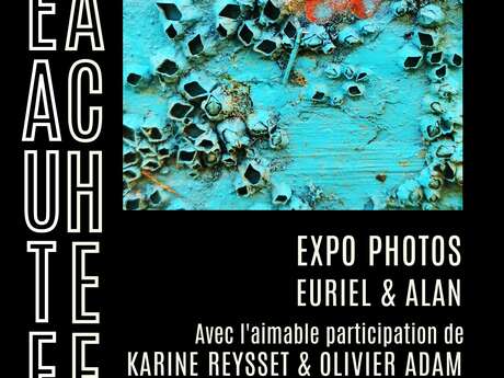 Exposition Photo "Beautés Cachées"