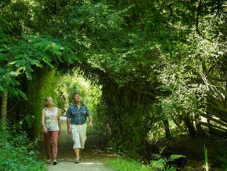Le Jardin du Bois d'Amour Le Jardin du Bois d'Amour