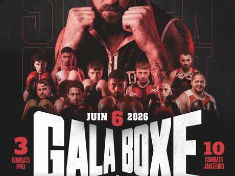 Gala de boxe