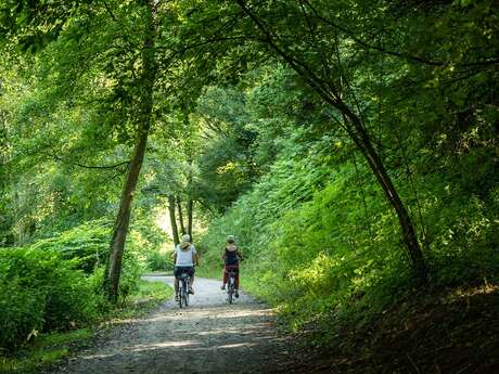 Circuit VTT en Pays de Rennes n°19: Pays de Châteaugiron