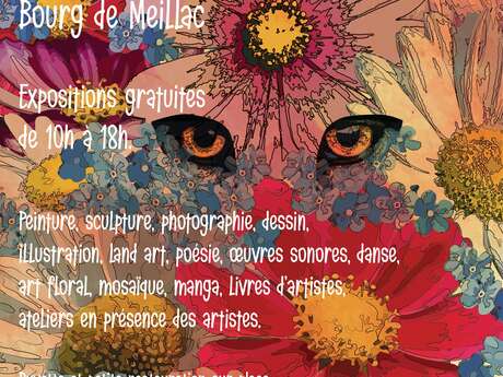 Brousaille