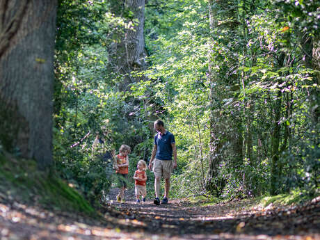 Les buttes de la Hautière