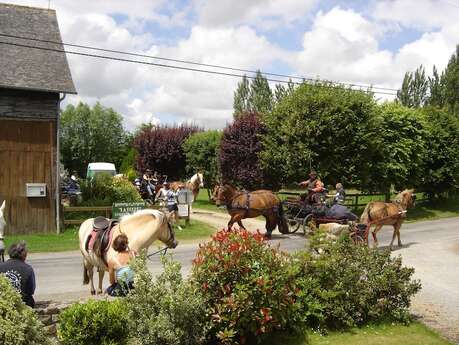 Camping de La Roche