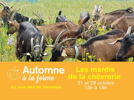 Automne à la ferme